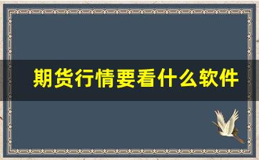 期货行情要看什么软件(期货用什么软件看行情)_https://www.senxinmaoyi.com_快递查询_第1张
