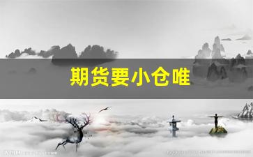 期货要小仓唯(期货里面的仓是什么意思)_https://www.xzdzcjx.com_上交所_第1张