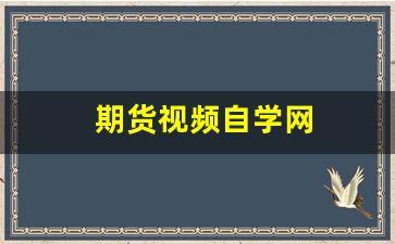 期货视频自学网(期货知识视频教学)_https://www.dcjwmf.com_广期所_第1张