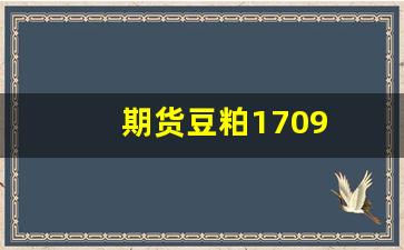 期货豆粕1709(期货豆粕)_https://www.wguangz.com_上期所_第1张