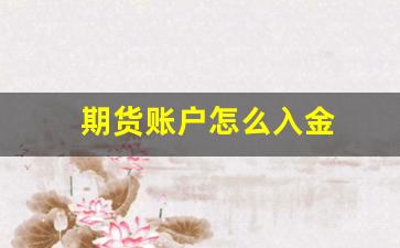 期货账户怎么入金(期货账户入金有规定吗)_https://www.fzdzcxj.com_上交所_第1张