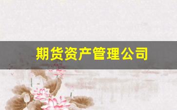 期货资产管理公司(期货资产管理子公司)_https://www.xzdzcjx.com_创业板_第1张