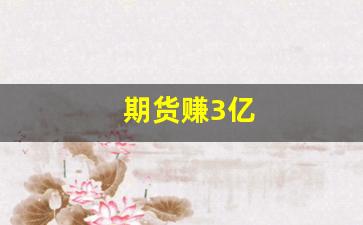 期货赚3亿(期货赚二十亿)_https://www.gfdzclz.com_北交所_第1张