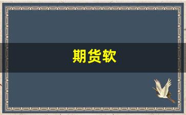 期货软(期货软件休市期间可以登录吗)_https://www.xzdzcjn.com_深交所_第1张