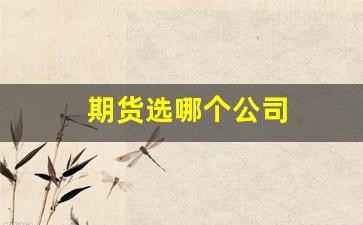 期货选哪个公司(期货最好的公司)_https://www.xzdzchf.com_深交所_第1张