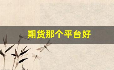 期货那个平台好(期货那个平台好点)_https://www.qldgs.com_期货_第1张