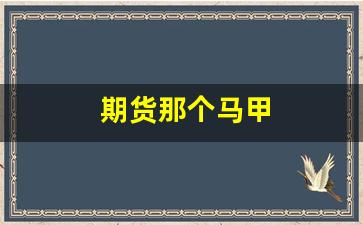 期货那个马甲(期货好平台)_https://www.eamstsz.com_北交所_第1张