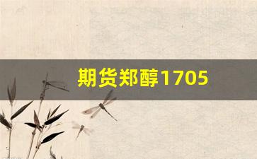 期货郑醇1705(期货郑醇是什么)_https://www.nalian8.com_科创板_第1张