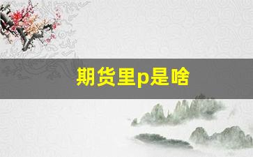 期货里p是啥(期货中的pb什么意思)_https://www.tuogunzhijia.com_黄金期货_第1张