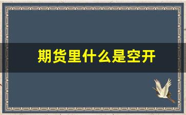 期货里什么是空开(期货里什么是空开和空开)_https://www.wguangz.com_郑商所_第1张