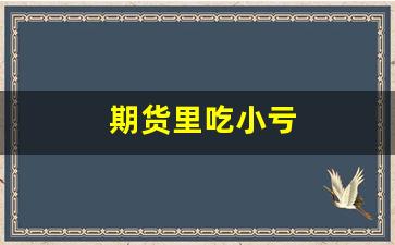期货里吃小亏(期货老赔钱)_https://www.gfdzclz.com_创业板_第1张