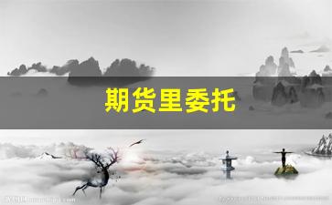 期货里委托(期货委托价格是什么意思)_https://www.gfdzclz.com_科创板_第1张
