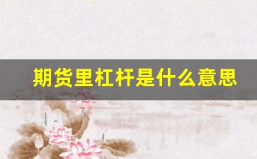 期货里杠杆是什么意思(期货杠杆是啥)_https://www.xzdzcjn.com_北交所_第1张