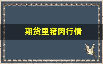 期货里猪肉行情(期货 猪肉)_https://www.qldgs.com_期货_第1张