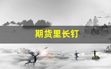 期货里长钉(期货长钉形态是什么)_https://www.xzdzcjn.com_北交所_第1张