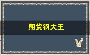 期货钢大王(钢铁期货大盘指数)_https://www.gfdzclz.com_深交所_第1张