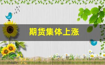 期货集体上涨(期货大涨)_https://www.hangfeite.com_创业板_第1张