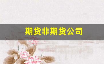 期货非期货公司(处多少罚款)_https://www.xzdzcjx.com_北交所_第1张