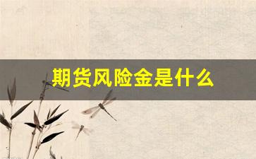 期货风险金是什么(期货的风险属于什么风险)_https://www.fzdzcxj.com_科创板_第1张