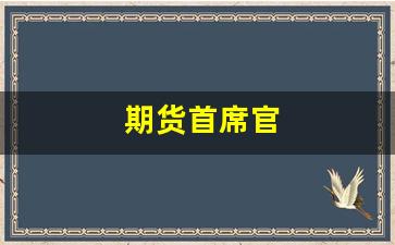 期货首席官(期货首席风险官)_https://www.fzdzcxj.com_上交所_第1张
