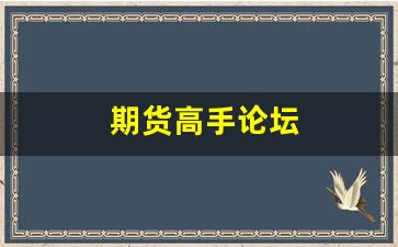 期货高手论坛(期货高手访谈视频)_https://www.xzdzcjn.com_创业板_第1张