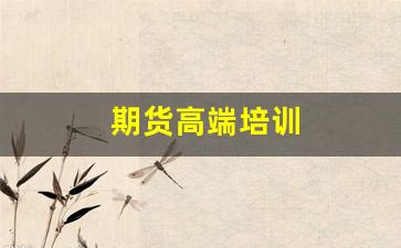 期货高端培训(期货培训国内十大机构)_https://www.xzdzcjn.com_北交所_第1张