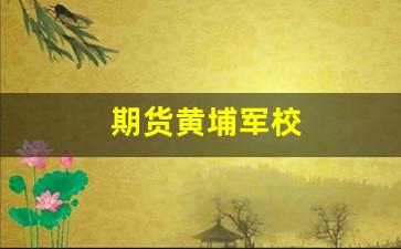 期货黄埔军校(黄埔军校全程讲解)_https://www.gfdzclz.com_深交所_第1张
