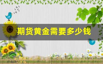 期货黄金需要多少钱(期货黄金一手是多少钱)_https://www.xzdzcjn.com_深交所_第1张