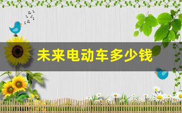 未来电动车多少钱(未来电动车新车型)_https://www.lclxwz.com_上期所_第1张