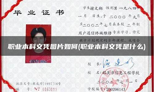 本科文凭是什么,本科文凭是什么样子的