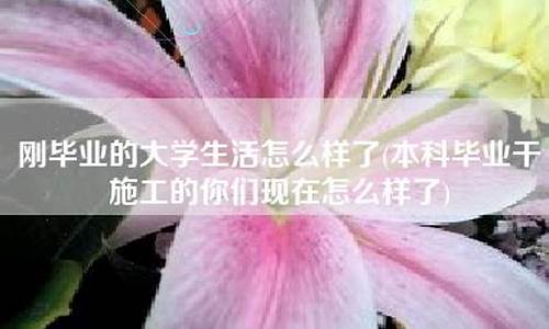 本科毕业干什么工作有出路,本科毕业干什么挣钱