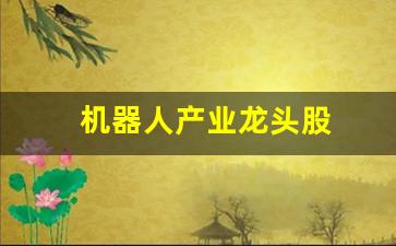 机器人产业龙头股(机器人行业龙头股)_https://www.jnskb.com_装修公司_第1张