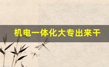 机电一体化大专出来干什么(机电一体化大专出来干什么工作)_https://www.eamstsz.com_科创板_第1张