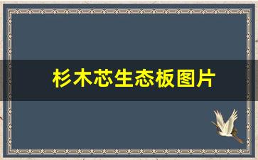 杉木芯生态板图片(做衣柜用什么板材最好最环保)_https://www.taocizhiliang.com_装修公司_第1张