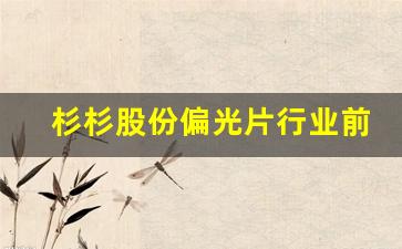 杉杉股份偏光片行业前景(杉杉股份偏光片行业前景怎么样)_https://www.syklpowerbike.com_创业板_第1张