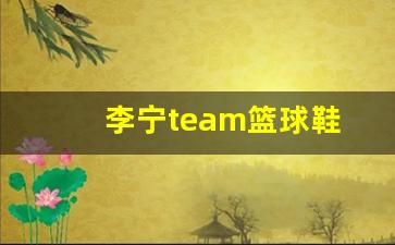 李宁杺珄篮球鞋-李宁team篮球鞋