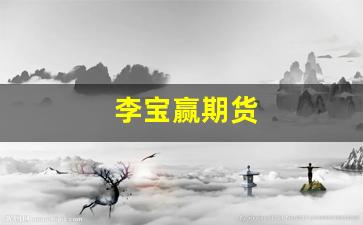 李宝赢期货(李宝赢堂)_https://www.fzdzcxj.com_科创板_第1张