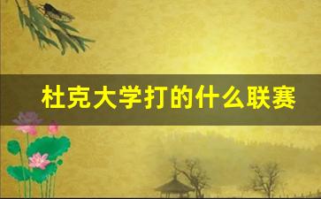 杜克大学打的什么联赛啊-杜克大学打的什么联赛
