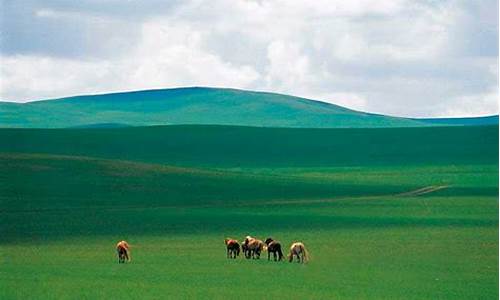 杜尔伯特草原_杜尔伯特草原怎么走