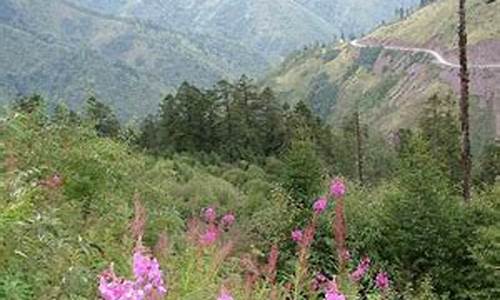 杜鹃山原始森林公园-杜鹃山景区门票多少钱