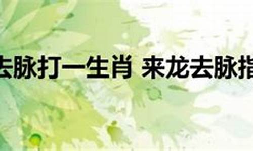 来龙去脉打一动物名-来龙去脉打一生肖啊是什么寓意