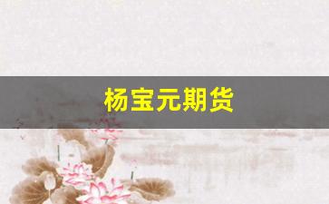 杨宝元期货(期货教父王宝峰)_https://www.xzdzcjn.com_创业板_第1张