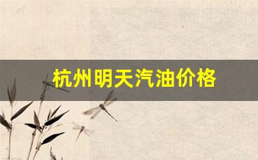 杭州明天汽油价格-今日杭州油价92汽油调价