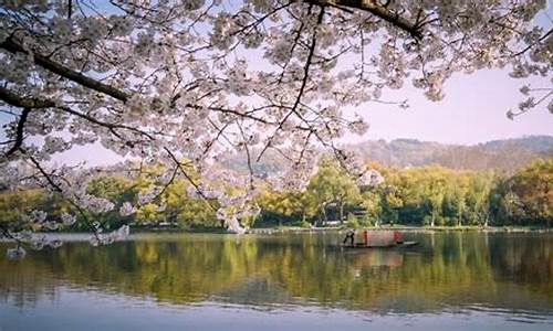 杭州春季旅游景点排名,杭州春季旅游景点