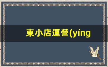 東小店運營(yíng)怎么做插圖