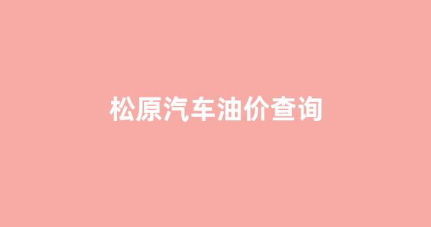 松原汽车油价查询_松原汽车油价查询电话