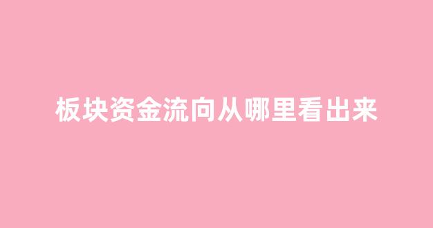 板块资金流向从哪里看出来(板块资金流向指标公式)_https://www.heiljjianzu.com_深交所_第1张