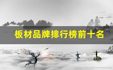 板材品牌排行榜前十名(板材品牌排行榜前十名有哪些)_https://www.wanyuyiyao.com_上交所_第1张