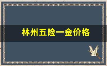 安阳五险一金各交多少钱_林州五险一金价格
