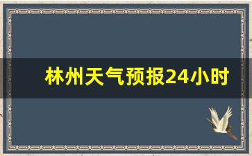 林州天气预报24小时几点下雨_林州天气预报24小时